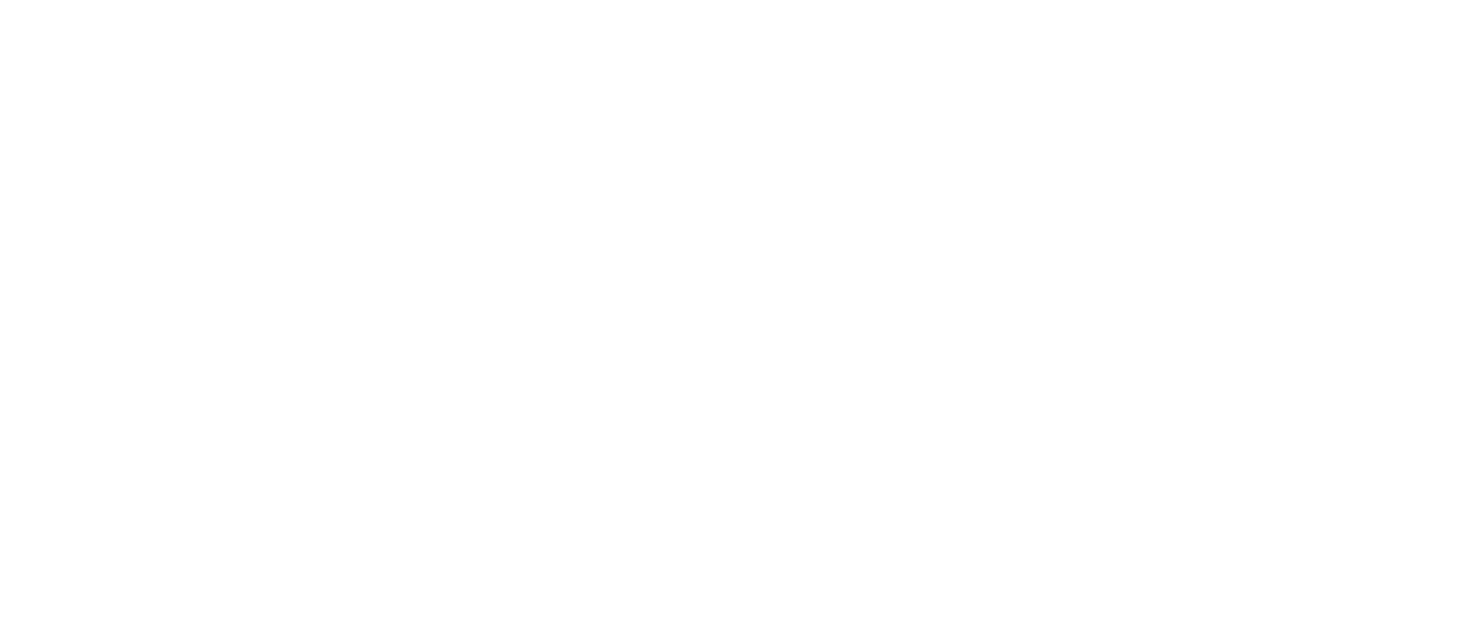SPARK The Lunar New Year
